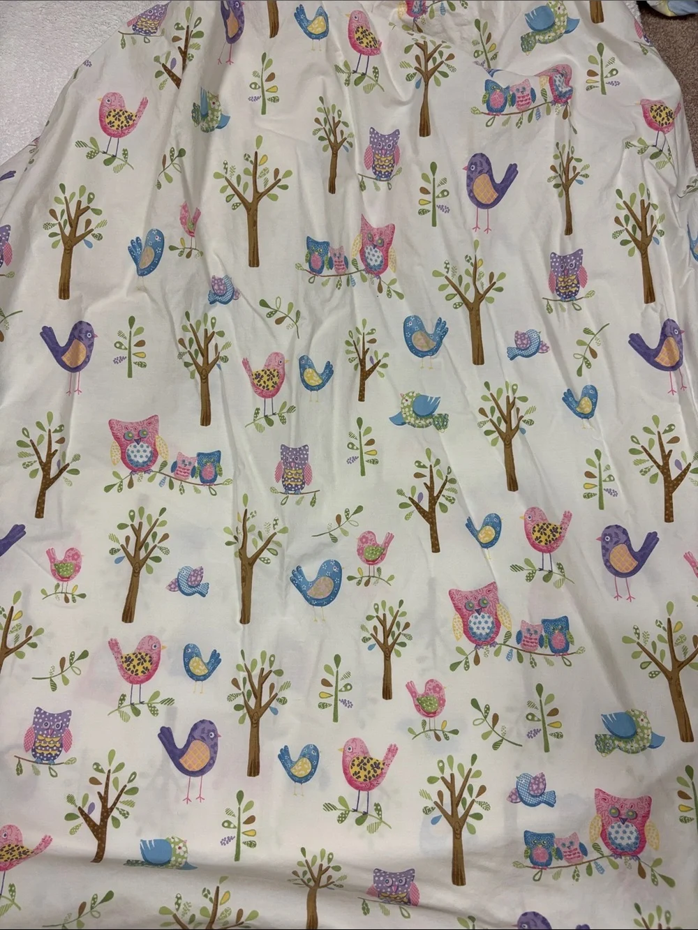 Pottery Barn Kids Hayley Owl Trees Birds Organic twin fitted Sheet Retired 12’